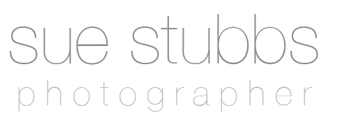 sue stubbs photographer